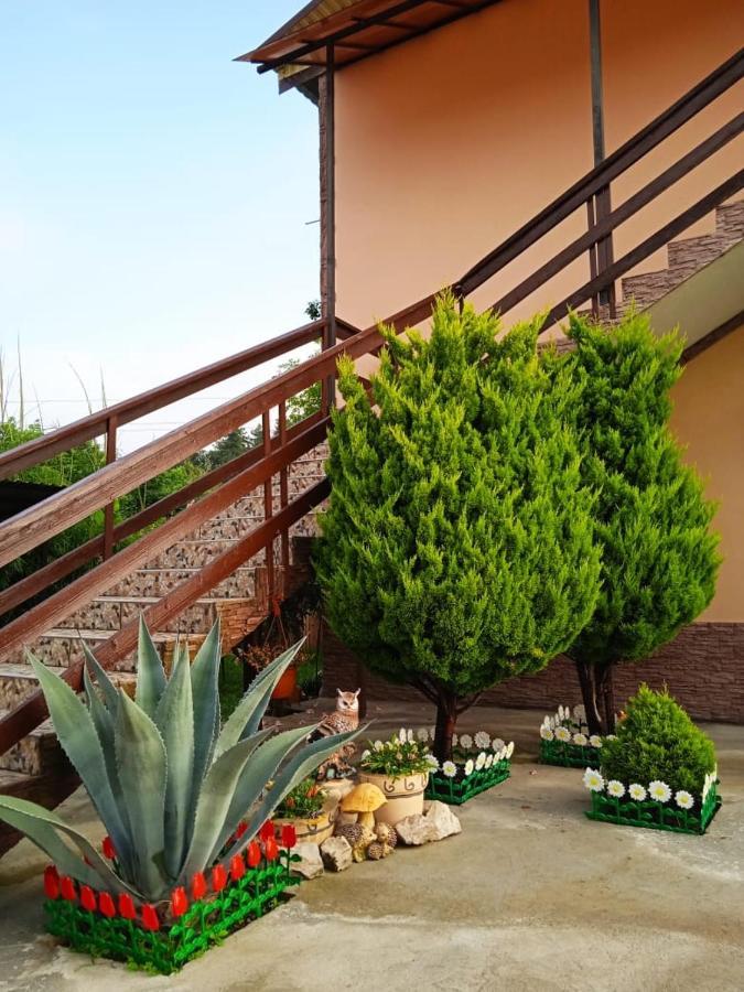 Изабелла Hotel Pizunda Exterior photo